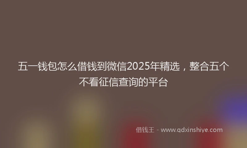 五一钱包怎么借钱到微信2025年精选，整合五个不看征信查询的平台