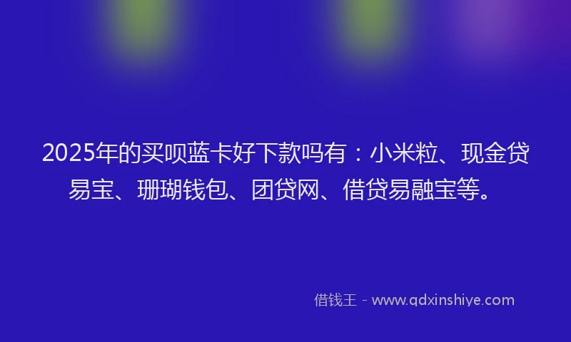 2025年的买呗蓝卡好下款吗有：小米粒、现金贷易宝、珊瑚钱包、团贷网、借贷易融宝等。