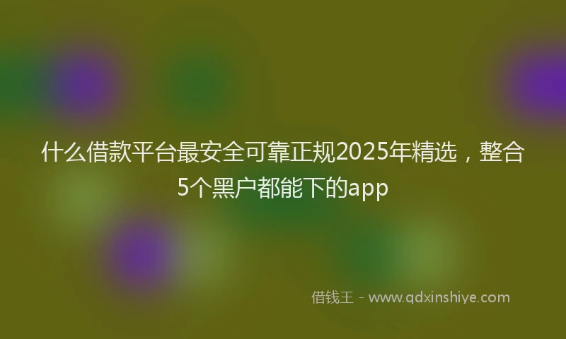 什么借款平台最安全可靠正规2025年精选,整合5个黑户都能下的app