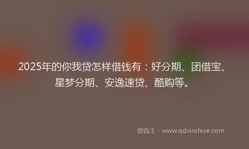 2025年的你我贷怎样借钱有:好分期、团借宝、星梦分期、安逸速贷、酷购等。