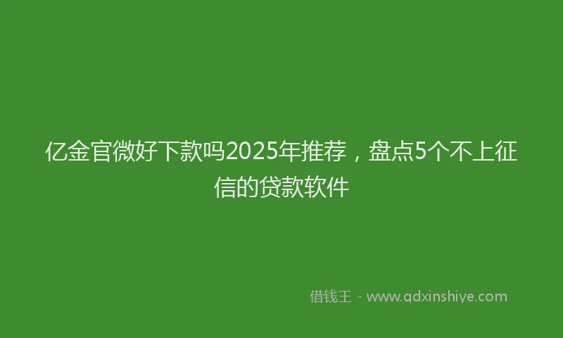 亿金官微好下款吗2025年推荐，盘点5个不上征信的贷款软件