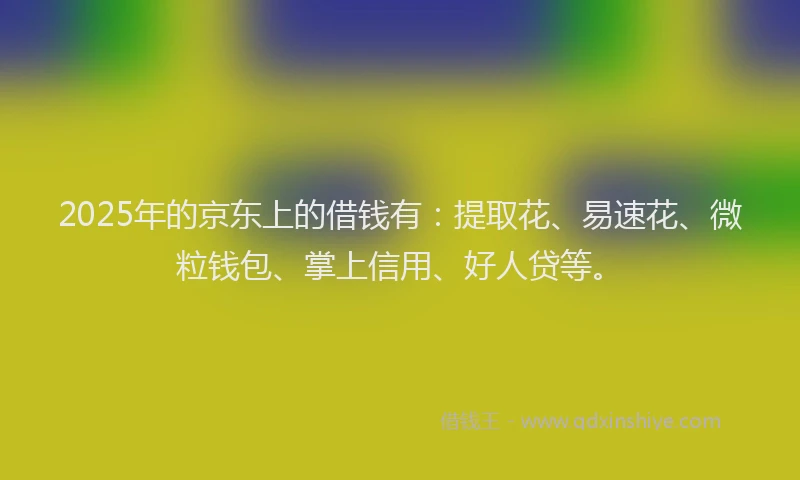 2025年的京东上的借钱有：提取花、易速花、微粒钱包、掌上信用、好人贷等。