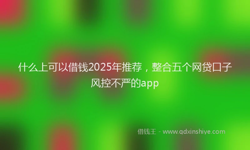 什么上可以借钱2025年推荐，整合五个网贷口子风控不严的app