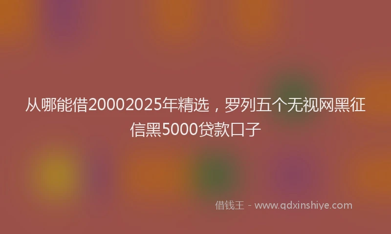 从哪能借20002025年精选，罗列五个无视网黑征信黑5000贷款口子