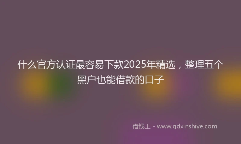 什么官方认证最容易下款2025年精选，整理五个黑户也能借款的口子