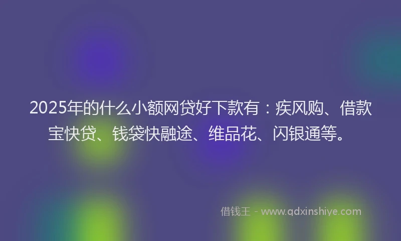 2025年的什么小额网贷好下款有:疾风购、借款宝快贷、钱袋快融途、维品花、闪银通等。