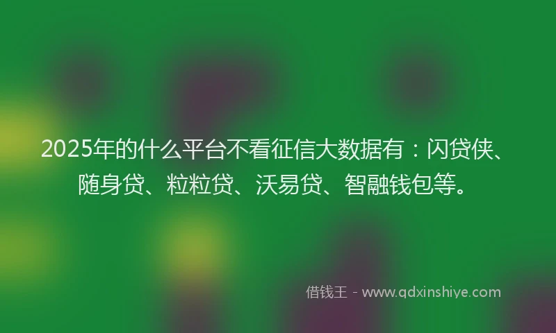 2025年的什么平台不看征信大数据有：闪贷侠、随身贷、粒粒贷、沃易贷、智融钱包等。