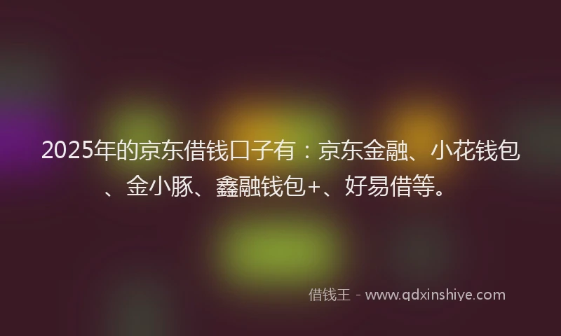 2025年的京东借钱口子有：京东金融、小花钱包、金小豚、鑫融钱包+、好易借等。