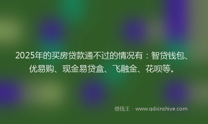 2025年的买房贷款通不过的情况有：智贷钱包、优易购、现金易贷盒、飞融金、花呗等。