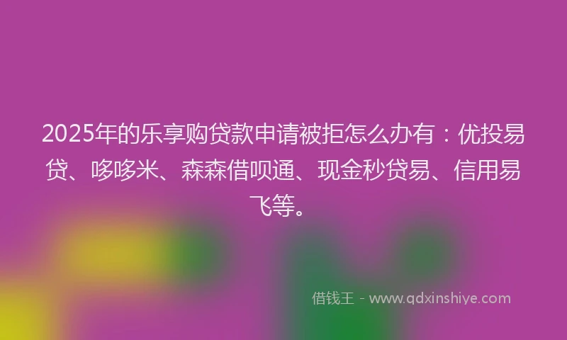 2025年的乐享购贷款申请被拒怎么办有:优投易贷、哆哆米、森森借呗通、现金秒贷易、信用易飞等。