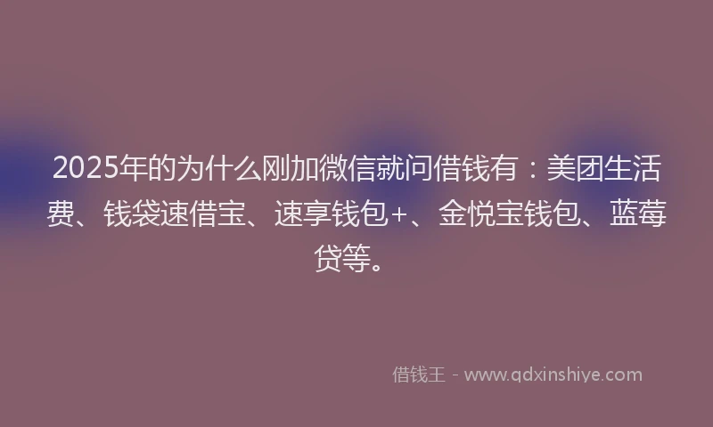 2025年的为什么刚加微信就问借钱有：美团生活费、钱袋速借宝、速享钱包+、金悦宝钱包、蓝莓贷等。