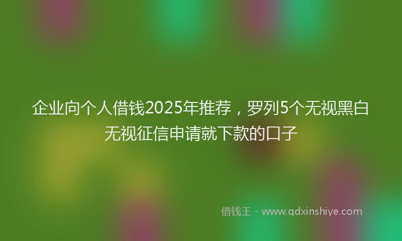 企业向个人借钱2025年推荐，罗列5个无视黑白无视征信申请就下款的口子