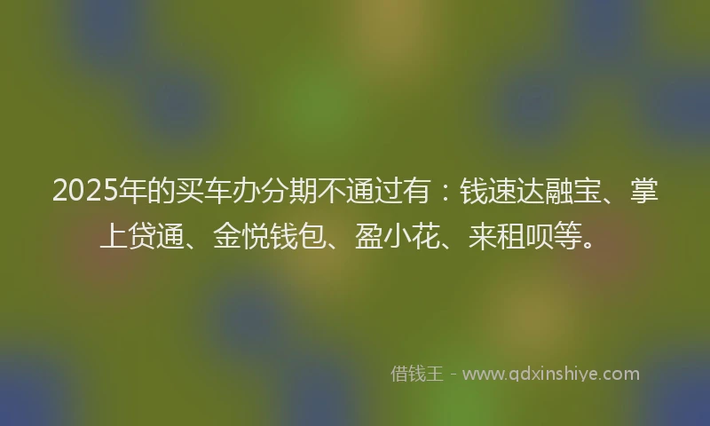 2025年的买车办分期不通过有:钱速达融宝、掌上贷通、金悦钱包、盈小花、来租呗等。