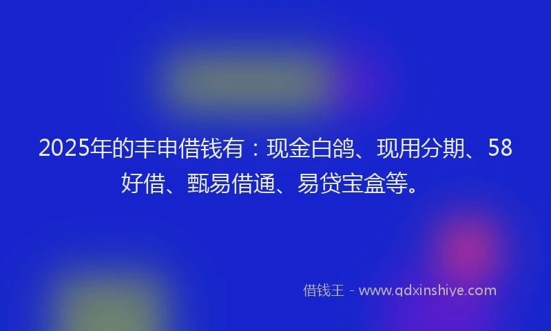 2025年的丰申借钱有：现金白鸽、现用分期、58好借、甄易借通、易贷宝盒等。