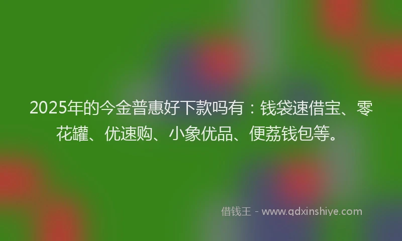 2025年的今金普惠好下款吗有：钱袋速借宝、零花罐、优速购、小象优品、便荔钱包等。