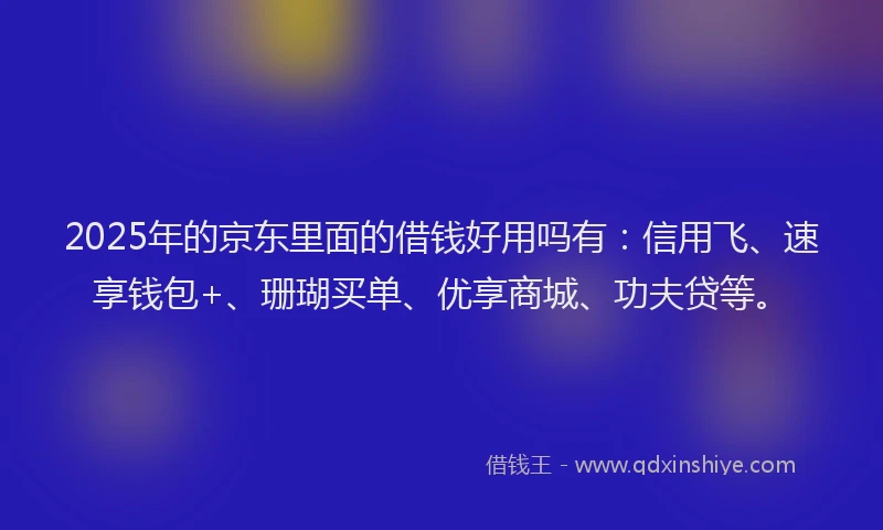 2025年的京东里面的借钱好用吗有：信用飞、速享钱包+、珊瑚买单、优享商城、功夫贷等。
