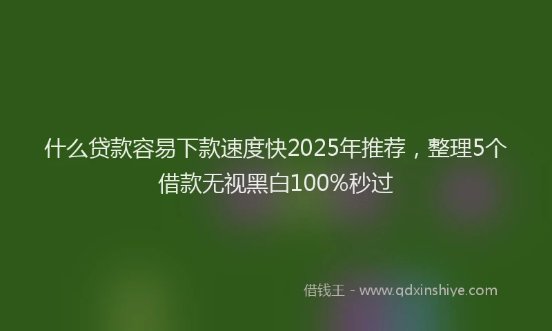 什么贷款容易下款速度快2025年推荐，整理5个借款无视黑白100%秒过