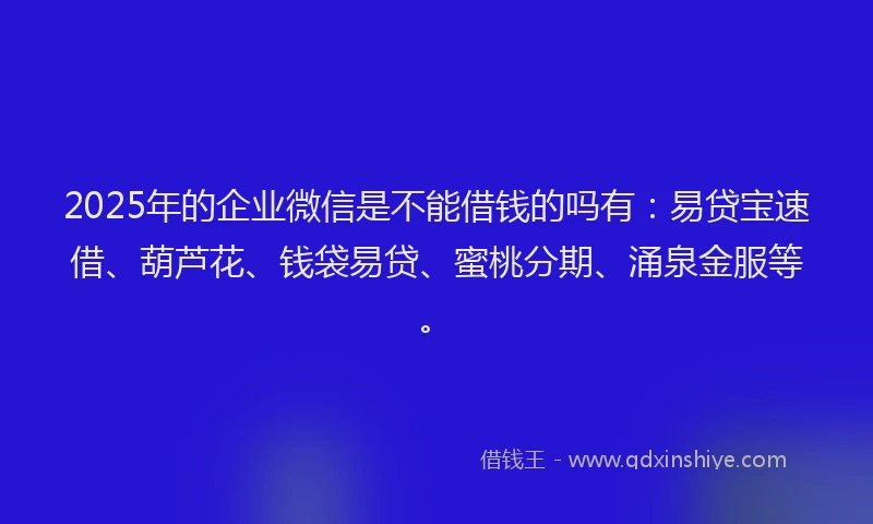 2025年的企业微信是不能借钱的吗有：易贷宝速借、葫芦花、钱袋易贷、蜜桃分期、涌泉金服等。