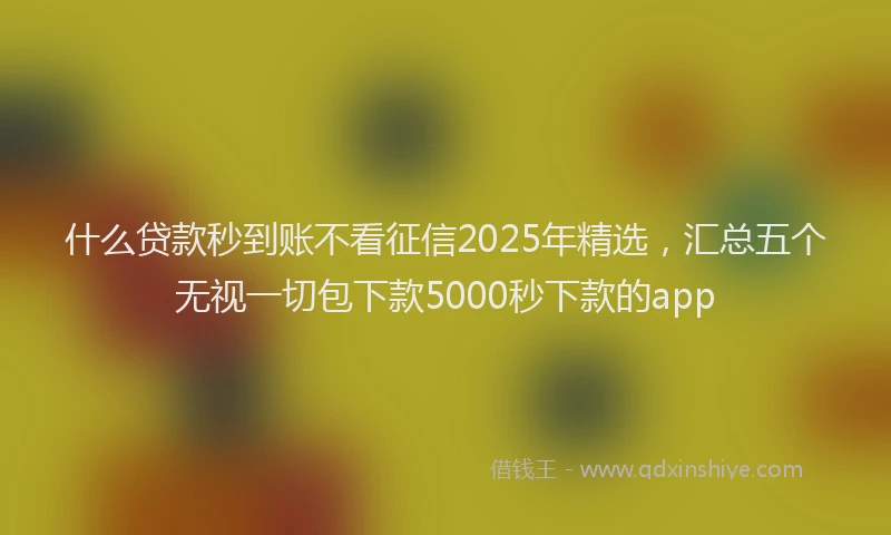 什么贷款秒到账不看征信2025年精选，汇总五个无视一切包下款5000秒下款的app