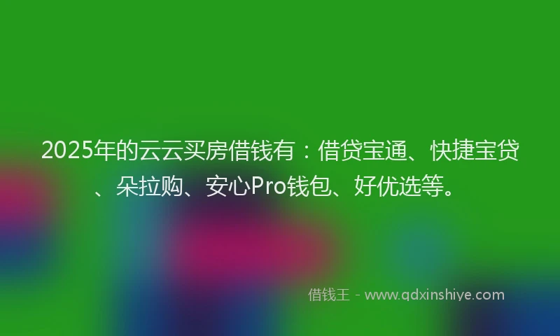 2025年的云云买房借钱有：借贷宝通、快捷宝贷、朵拉购、安心Pro钱包、好优选等。