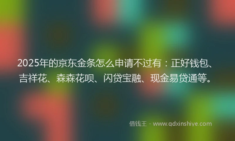 2025年的京东金条怎么申请不过有:正好钱包、吉祥花、森森花呗、闪贷宝融、现金易贷通等。