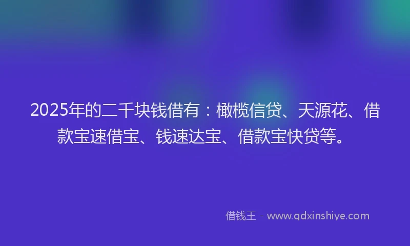 2025年的二千块钱借有：橄榄信贷、天源花、借款宝速借宝、钱速达宝、借款宝快贷等。