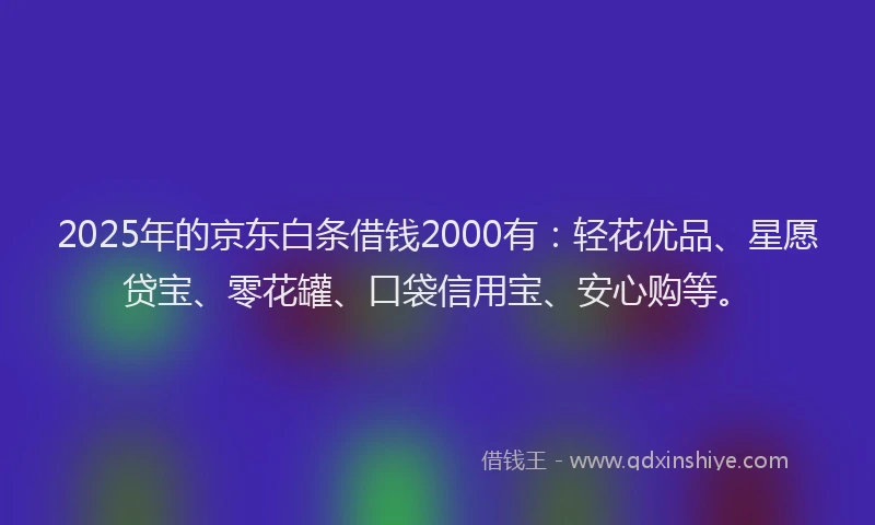 2025年的京东白条借钱2000有：轻花优品、星愿贷宝、零花罐、口袋信用宝、安心购等。