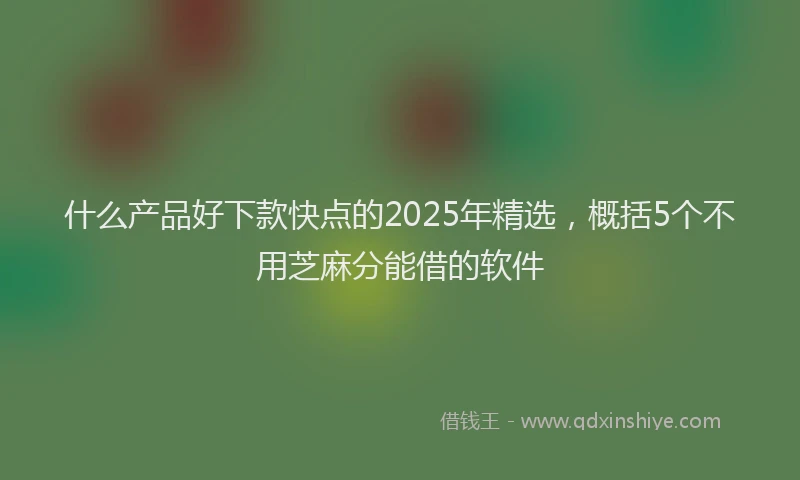什么产品好下款快点的2025年精选,概括5个不用芝麻分能借的软件
