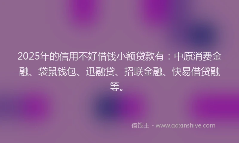 2025年的信用不好借钱小额贷款有：中原消费金融、袋鼠钱包、迅融贷、招联金融、快易借贷融等。