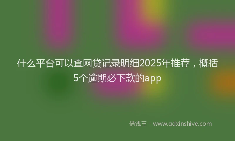 什么平台可以查网贷记录明细2025年推荐，概括5个逾期必下款的app