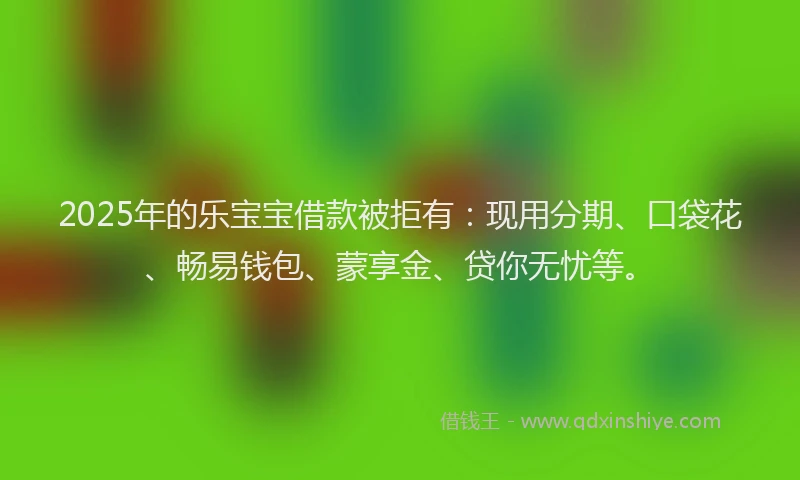 2025年的乐宝宝借款被拒有：现用分期、口袋花、畅易钱包、蒙享金、贷你无忧等。