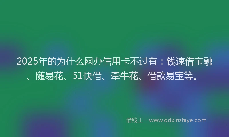 2025年的为什么网办信用卡不过有：钱速借宝融、随易花、51快借、牵牛花、借款易宝等。