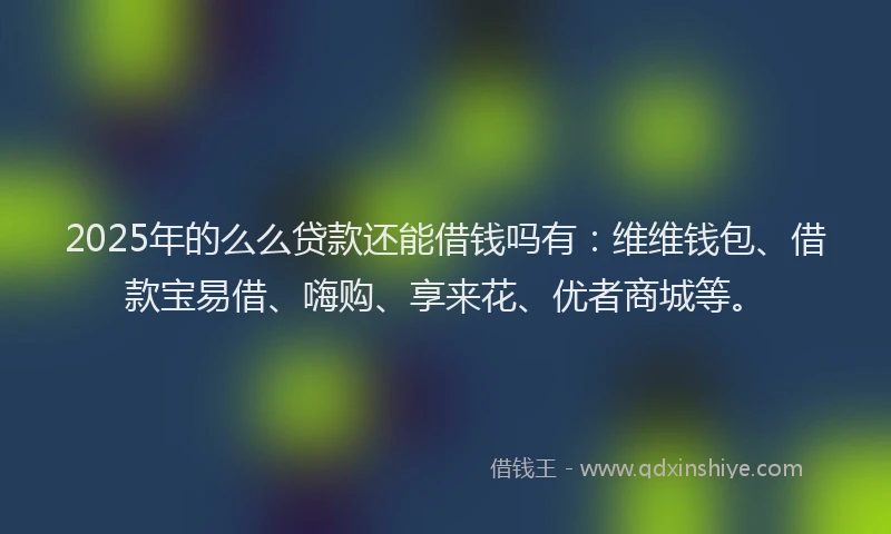 2025年的么么贷款还能借钱吗有：维维钱包、借款宝易借、嗨购、享来花、优者商城等。