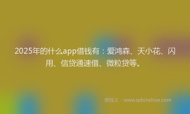 2025年的什么app借钱有：爱鸿森、天小花、闪用、信贷通速借、微粒贷等。