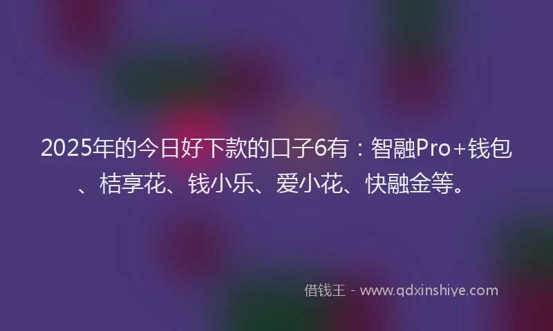 2025年的今日好下款的口子6有：智融Pro+钱包、桔享花、钱小乐、爱小花、快融金等。