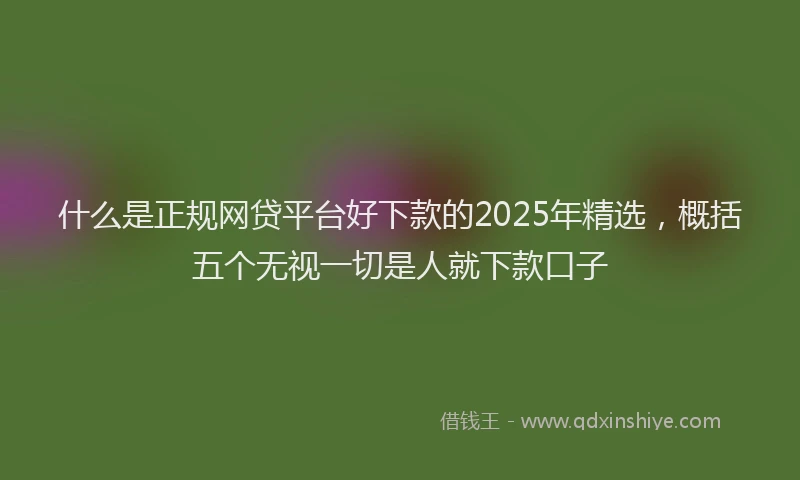 什么是正规网贷平台好下款的2025年精选，概括五个无视一切是人就下款口子