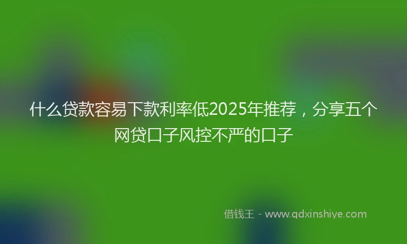 什么贷款容易下款利率低2025年推荐，分享五个网贷口子风控不严的口子