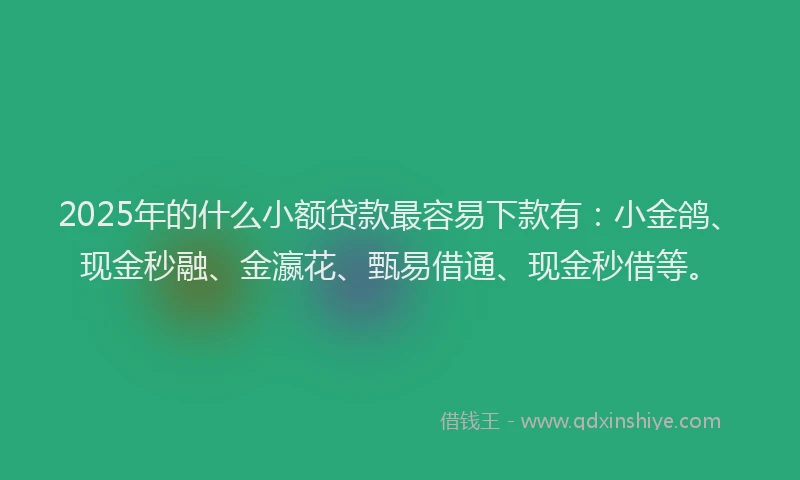 2025年的什么小额贷款最容易下款有：小金鸽、现金秒融、金瀛花、甄易借通、现金秒借等。