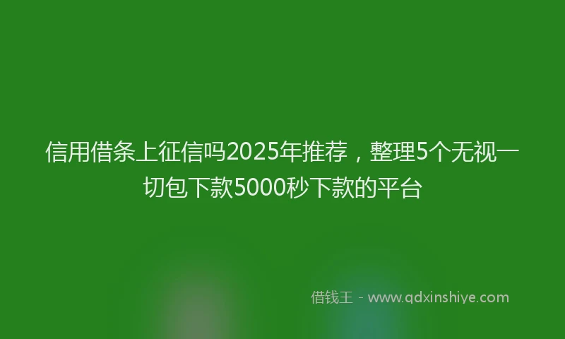 信用借条上征信吗2025年推荐，整理5个无视一切包下款5000秒下款的平台