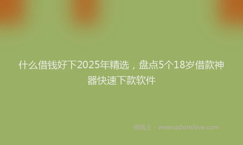 什么借钱好下2025年精选,盘点5个18岁借款神器快速下款软件