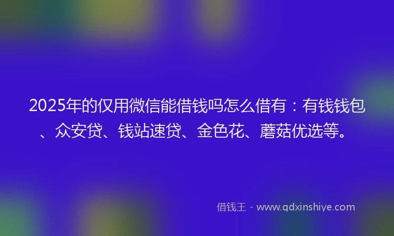2025年的仅用微信能借钱吗怎么借有：有钱钱包、众安贷、钱站速贷、金色花、蘑菇优选等。