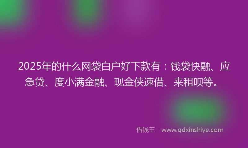 2025年的什么网袋白户好下款有:钱袋快融、应急贷、度小满金融、现金侠速借、来租呗等。