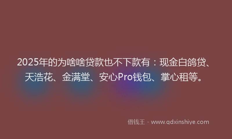 2025年的为啥啥贷款也不下款有:现金白鸽贷、天浩花、金满堂、安心Pro钱包、掌心租等。
