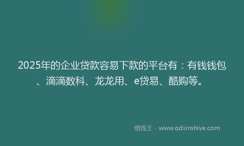 2025年的企业贷款容易下款的平台有：有钱钱包、滴滴数科、龙龙用、e贷易、酷购等。