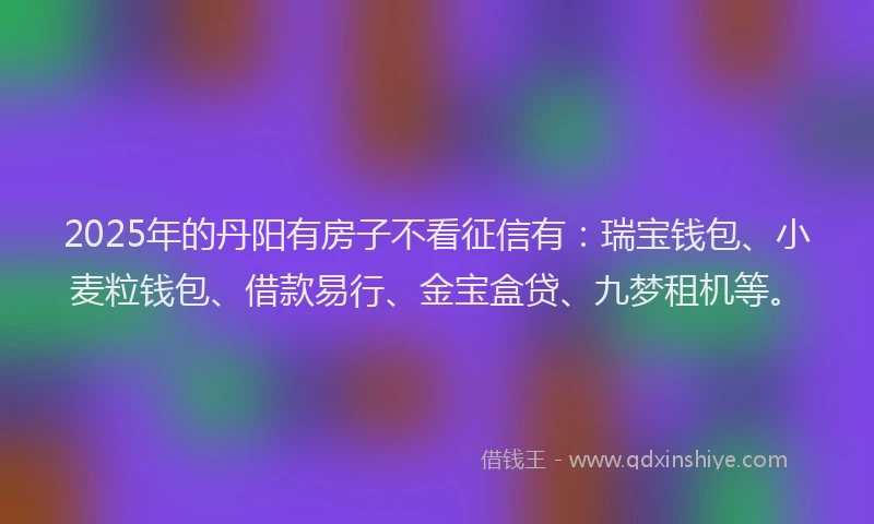 2025年的丹阳有房子不看征信有：瑞宝钱包、小麦粒钱包、借款易行、金宝盒贷、九梦租机等。
