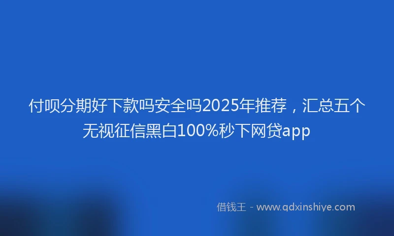 付呗分期好下款吗安全吗2025年推荐,汇总五个无视征信黑白100%秒下网贷app