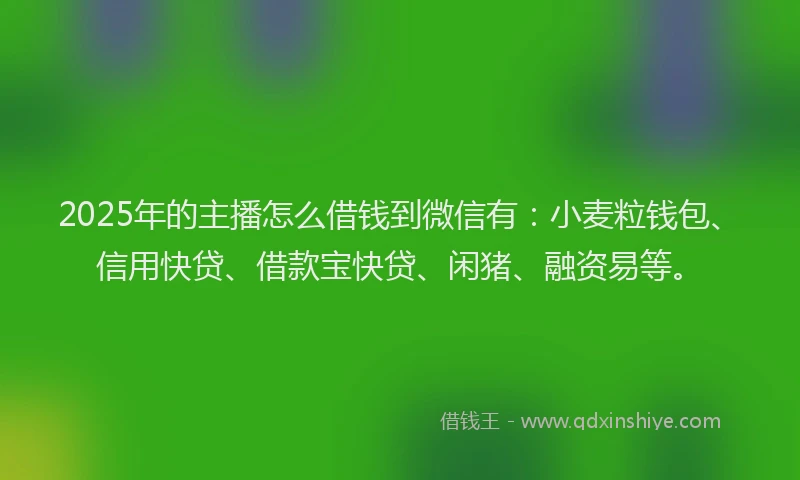 2025年的主播怎么借钱到微信有：小麦粒钱包、信用快贷、借款宝快贷、闲猪、融资易等。