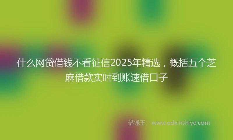 什么网贷借钱不看征信2025年精选，概括五个芝麻借款实时到账速借口子