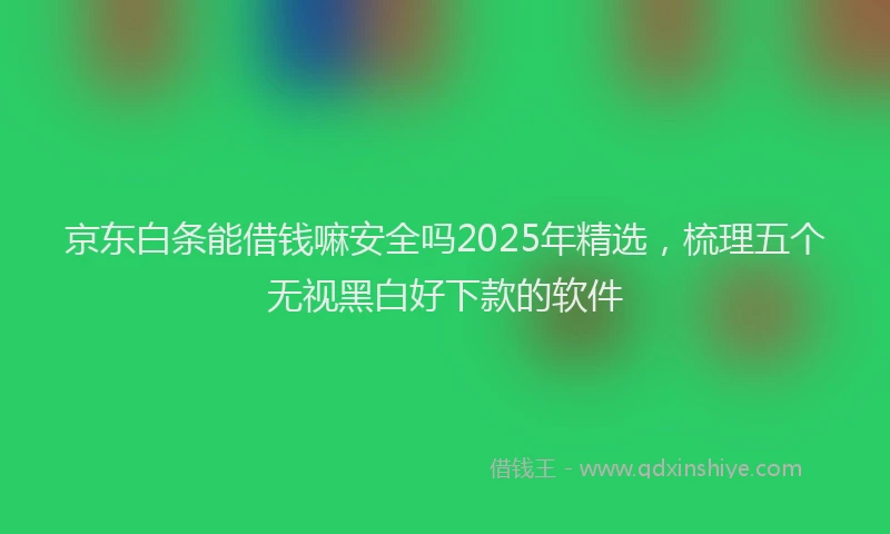 京东白条能借钱嘛安全吗2025年精选,梳理五个无视黑白好下款的软件