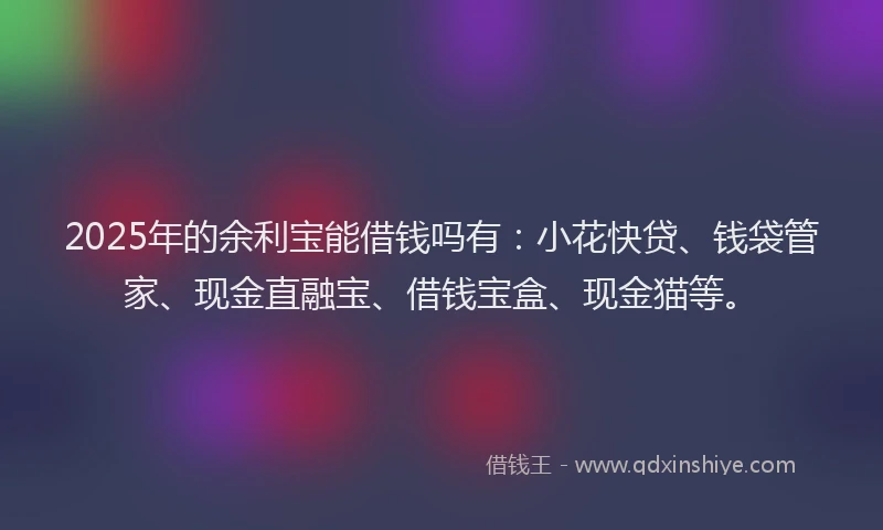 2025年的余利宝能借钱吗有：小花快贷、钱袋管家、现金直融宝、借钱宝盒、现金猫等。